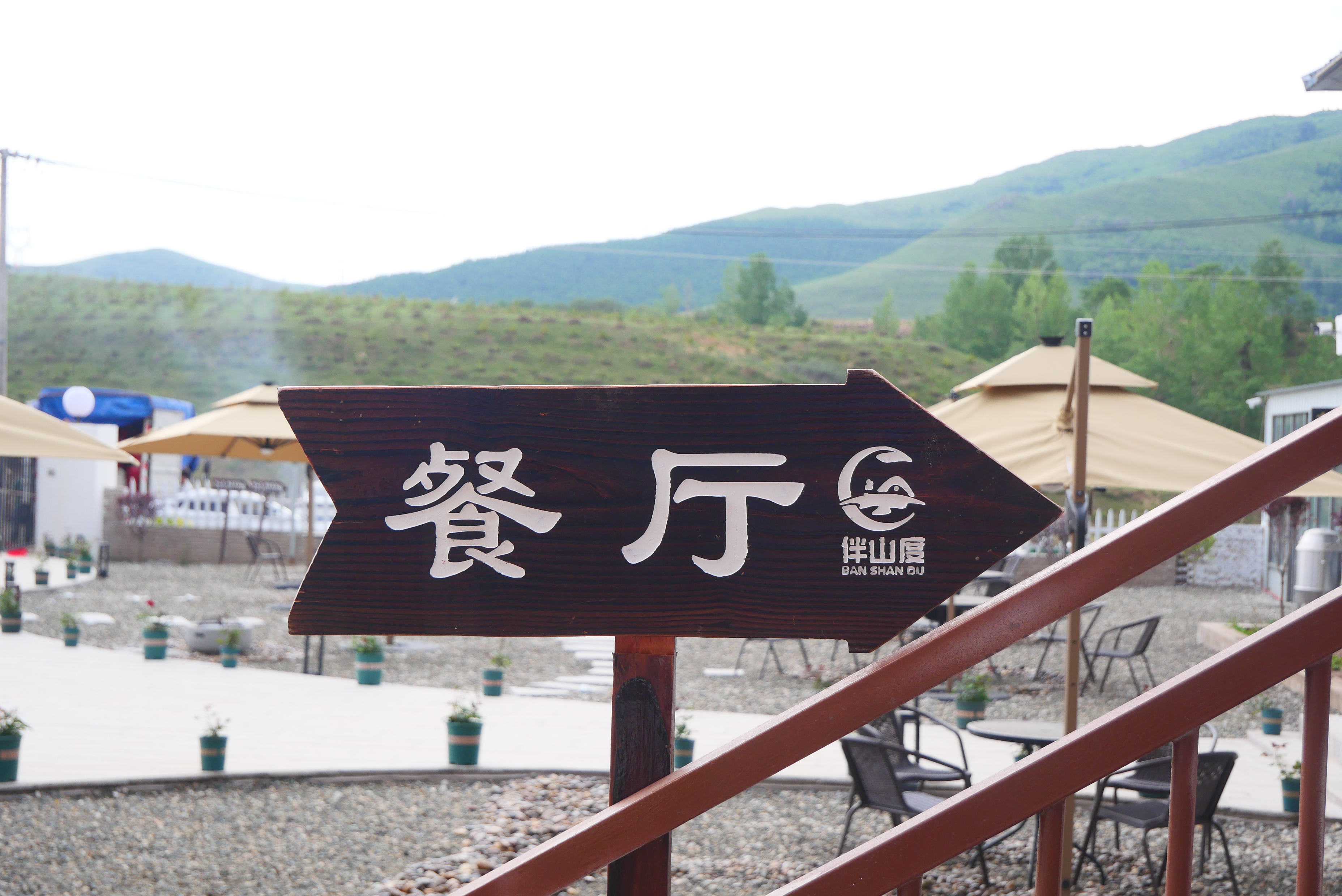 文章插图